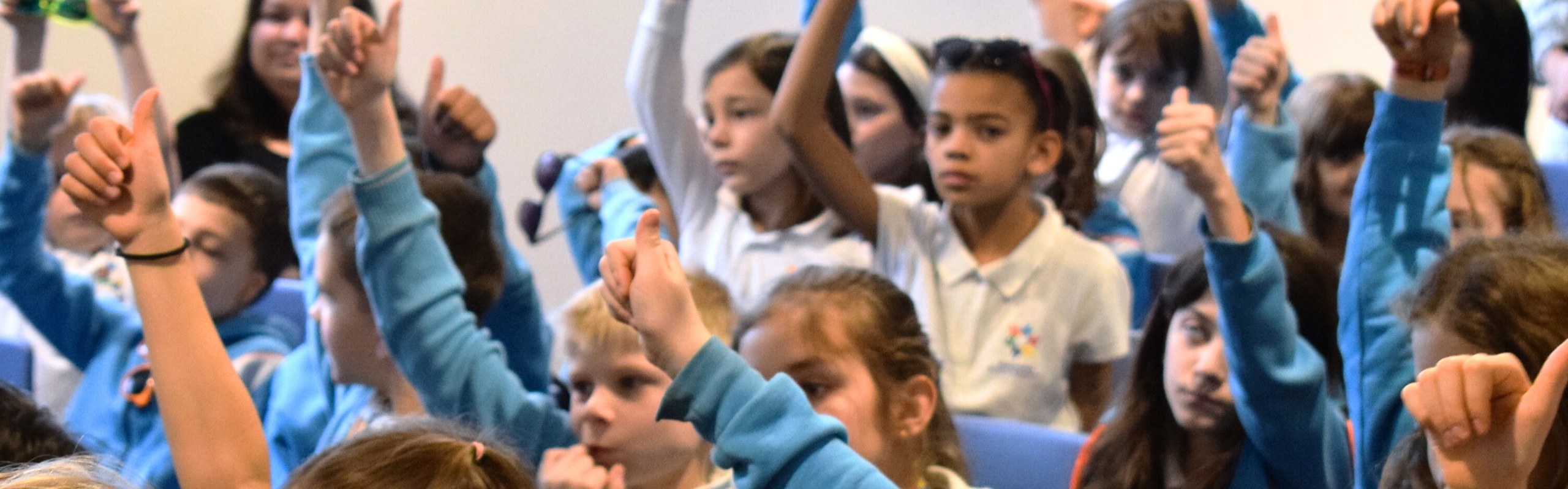 Useful websites and platforms